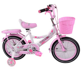 Children Bike  TY-TC1813